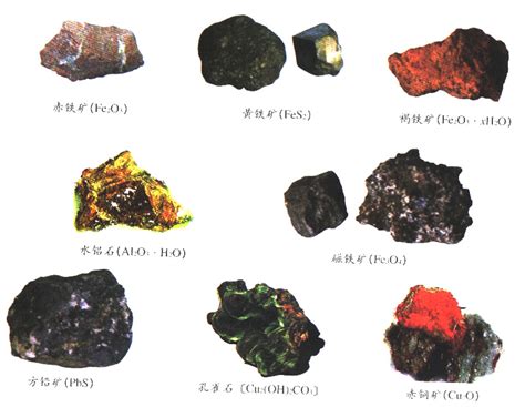 金屬性行業|2024全球金屬業與礦業展望調查報告